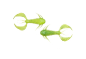 Силикон Megabass ROCK HOG 2.5&quot; CHART/GREEN&amp;GOLD FLAKE