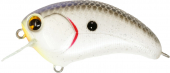 SQUARE BILL #132 Hot Shad