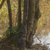 Чехол Solar Undercover Camo 3+2 Rod Holdalls 13ft