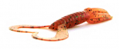 Силикон Keitech Little Spider 3" EA#01