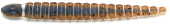 Силикон Keitech Custom Leech 3" # 111C