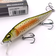VISION ONETEN GLX RAINBOW