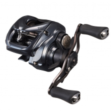 Катушка Daiwa TATULA 25 SV TW 100XHL