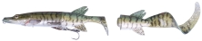 Воблер Savage Gear 3D Hybrid Pike 250mm 130g SS 07-Green Silver Pike 