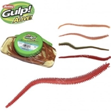 GULP! ALIVE! SANDWORM BLOODY 6&quot;/15CM 14 ST. 