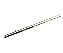 Сомів вудилище Black Cat Passion Pro DX Boat 2.50м 400г 