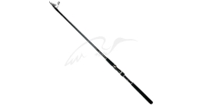 Спиннинг Daiwa Lazy Telespin 100M 3.05m 10-50g