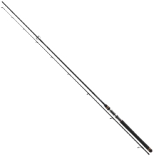 Спінінг Daiwa Team Daiwa Air Sea Trout 3.00 m 10-35g 