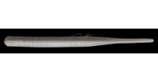 Силикон Nories Firimp 4-1/2&quot; 175