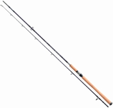 Спиннинг Daiwa Team Daiwa Specialist Spinnrute 2.70m 10-50g