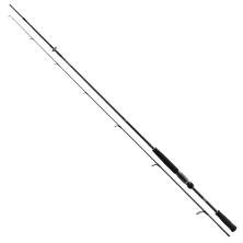 Спінінг Daiwa Prorex AGS Spin 2.20m 5-25g 