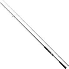 Спінінг Daiwa Seabass Hunter X 100MH-R 3.05m 12-60g 