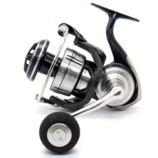 Катушка Daiwa 21 Certate SW (G) 5000-H (40050146)