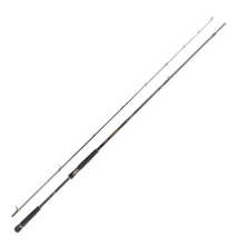 Спиннинг Daiwa Morethan AGS 1022MLRS-AS 3.09m 5-25g (2291604)