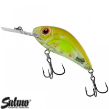 Воблер Salmo Rattlin Hornet Floating Clear Ayu 5.5cm 1шт