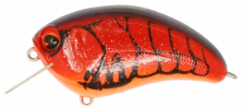 SQUARE BILL #121 Hot Craw