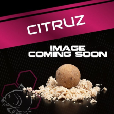 Бойлы насадочные Nash Citruz Signal Coated Hookbaits 20mm 1шт