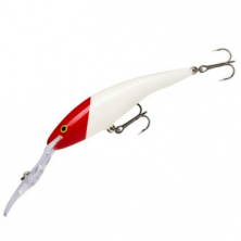 Воблер Rapala Deep Tail Dancer 90 mm13g 6m #RH (TDD09RH)