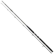 Спиннинг Daiwa BG Boat 2.10m 150-400g