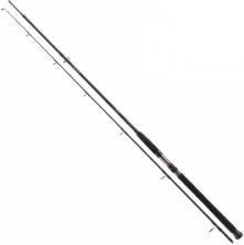 Спінінг Daiwa Exceler Catfish Spin 2.40m max 185g 