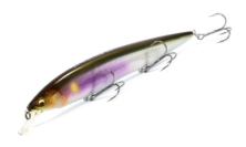 Воблер Megabass Kanata 160F 30g wagin setsuki ayu 
