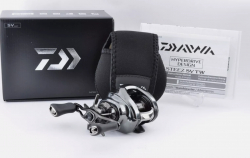 Катушка Daiwa 24 Steez SV TW 100L