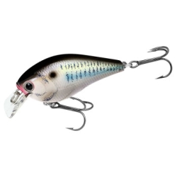 Воблер Lucky Craft LC 1.5 Live Threadfin Shad (LC-1-5-425LTFSD)