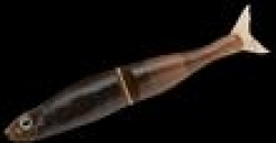 Силиконовая приманка GAN CRAFT JOINTED CLAW SHAPE-S 4.0 #11 DARK BROWN/BLUE FLAKES