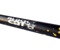 Сомів вудилище Black Cat Passion Pro DX Vertical 1.8м 230г 