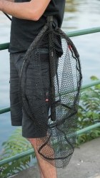 Подсак Rage Street Fighter Landing Net 40х50cm Short 1шт