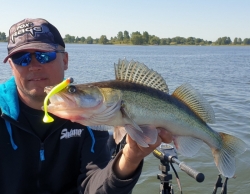 Штучна приманка Rage Ultra UV Zander Pro Shads Mixed Color Pack 7,5cm x 5 7,5cm 5шт 