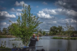 Удилище фидерное Shimano Speedmaster AX Commercial Feeder 244cm 40g 1шт