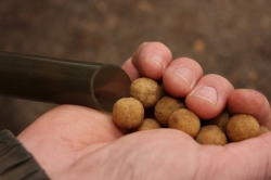 Кобра Korda Eazi Stik 20mm 1шт
