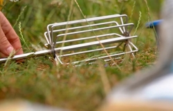 Венчик Preston Stainless Steel Whisk