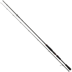 Спиннинг Daiwa Tournament AGS Spin 2.70m 28-84g