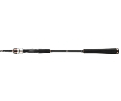 Спінінгове вудлище Daiwa 24 Exceler Spin 3м 15-50г
