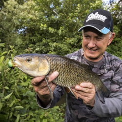 Штучна приманка Salmo Lil Bug Floating 2cm Black Bug