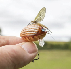 Штучна приманка Salmo Lil Bug Floating 2cm Black Bug