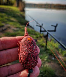 Прикормка Steg Carp Bomb Krill Halibut 1kg