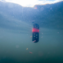 Кормушка Korum Floating Feeder