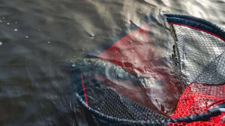 Подсак Rage Speed Flow XL 95cm 1шт