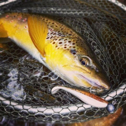 Силиконовая приманка Rage Zander Pro Shad Glitter Perch 7.5cm 1шт