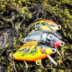 Воблер Salmo Tiny Floating Hot Cockchafer 3cm/2g