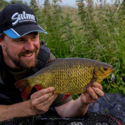 Воблер Salmo Tiny Floating Holo Stickleback 3cm/7g