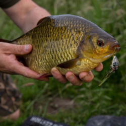 Воблер Salmo Tiny Floating Holo Stickleback 3cm/7g