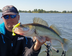 Искусственная приманка Rage Ultra UV Zander Pro Shads Mixed Colour Pack 10cm x 5 10cm 5шт