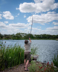 Удилище Fox Horizon X3 - S Rod Cork Handle 10ft 3.50lb 40mm 1шт