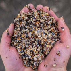 Зерновая смесь Nash Small Seed Mix 500ml