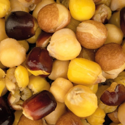 Зерновая смесь Nash Large Seed Mix 500ml