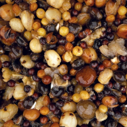 Зерновая смесь Nash Small Seed Mix 500ml